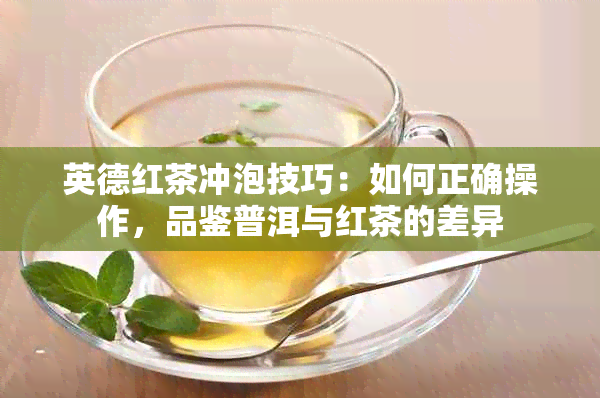 英德红茶冲泡技巧：如何正确操作，品鉴普洱与红茶的差异