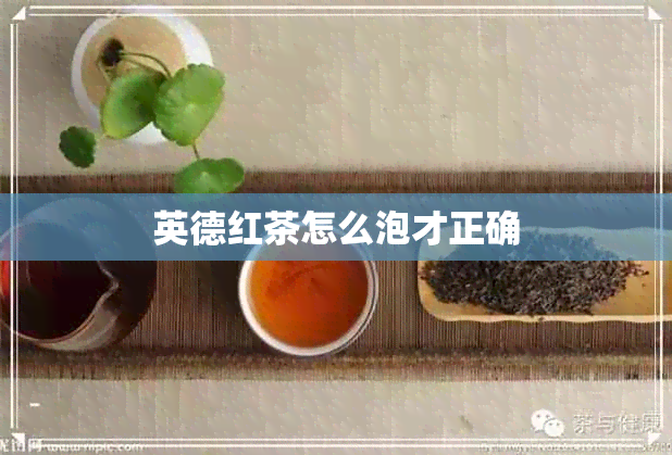 英德红茶怎么泡才正确