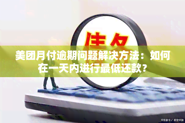 美团月付逾期问题解决方法：如何在一天内进行更低还款？