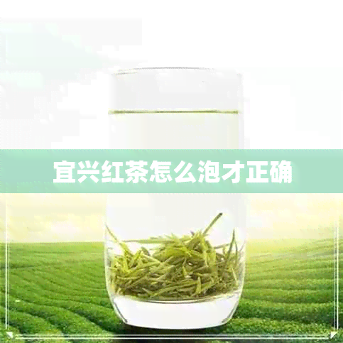 宜兴红茶怎么泡才正确