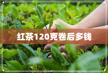 红茶120克卷后多钱