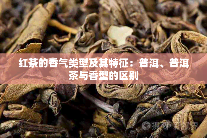 红茶的香气类型及其特征：普洱、普洱茶与香型的区别