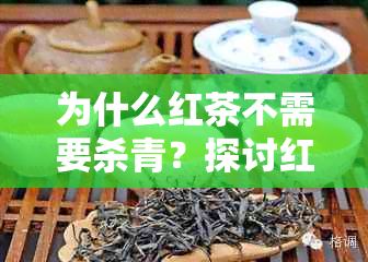 为什么红茶不需要杀青？探讨红茶制作过程中的科学原理及其对品质的影响