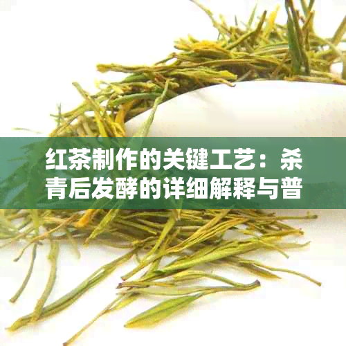 红茶制作的关键工艺：杀青后发酵的详细解释与普洱茶的区别