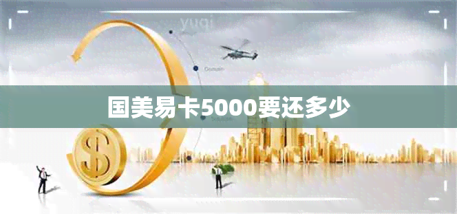 国美易卡5000要还多少