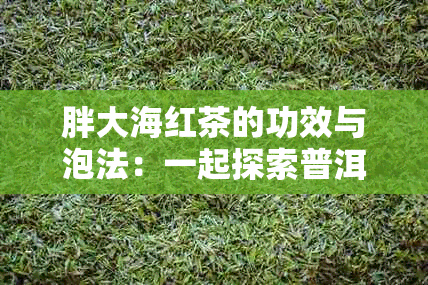 胖大海红茶的功效与泡法：一起探索普洱茶与茶叶的奇妙组合