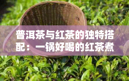 普洱茶与红茶的独特搭配：一锅好喝的红茶煮法大揭秘