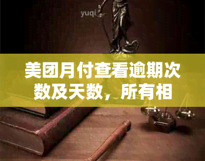 美团月付查看逾期次数及天数，所有相关信息在这里