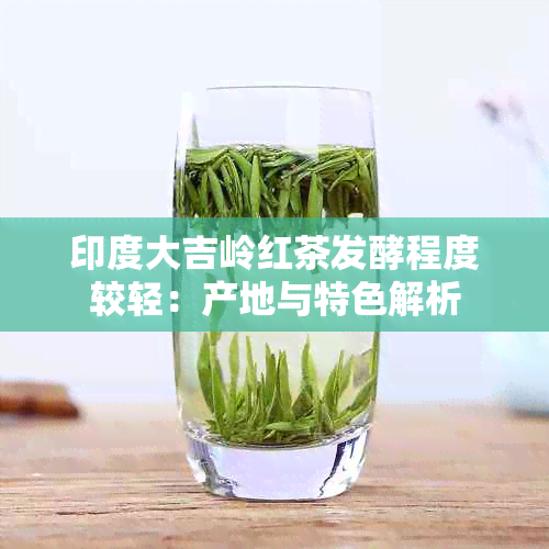 印度大吉岭红茶发酵程度较轻：产地与特色解析