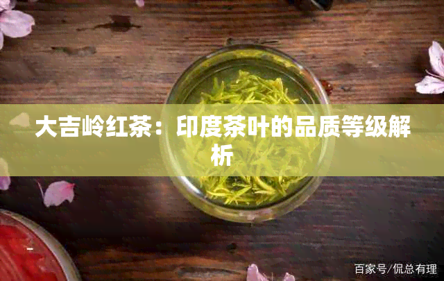 大吉岭红茶：印度茶叶的品质等级解析