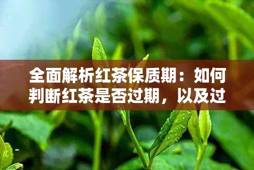 全面解析红茶保质期：如何判断红茶是否过期，以及过期红茶的危害和解决方法