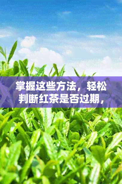 掌握这些方法，轻松判断红茶是否过期，让普洱茶也能受益！