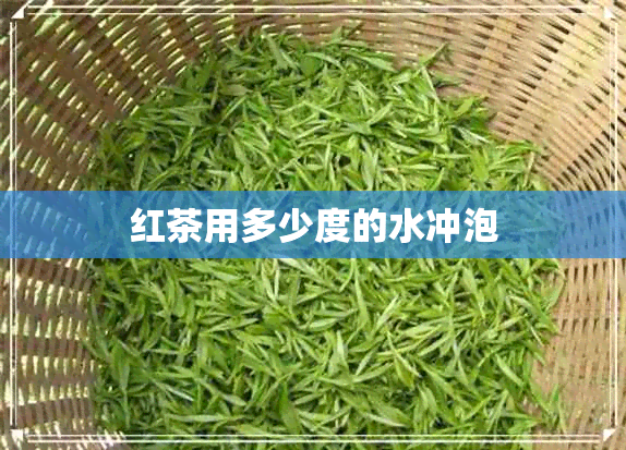 红茶用多少度的水冲泡