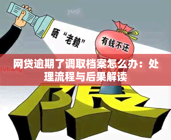 网贷逾期了调取档案怎么办：处理流程与后果解读