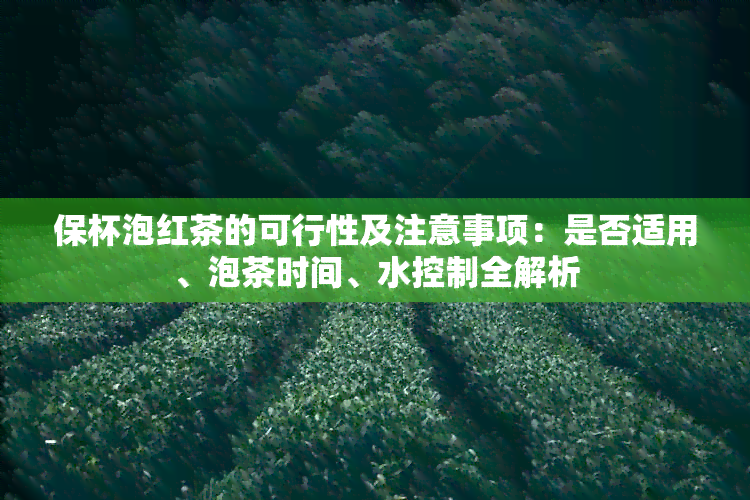 保杯泡红茶的可行性及注意事项：是否适用、泡茶时间、水控制全解析