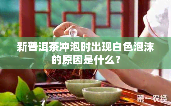 新普洱茶冲泡时出现白色泡沫的原因是什么？