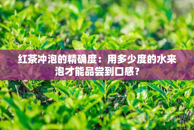 红茶冲泡的精确度：用多少度的水来泡才能品尝到口感？