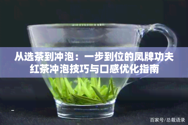 从选茶到冲泡：一步到位的凤牌功夫红茶冲泡技巧与口感优化指南