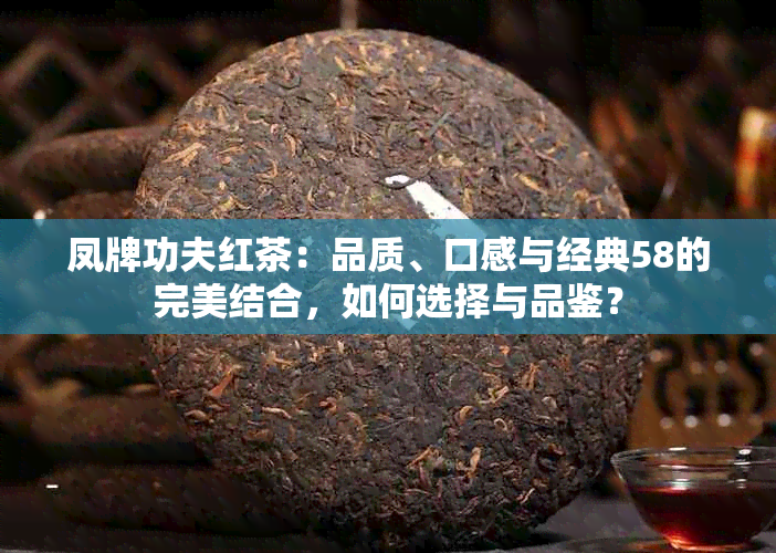 凤牌功夫红茶：品质、口感与经典58的完美结合，如何选择与品鉴？