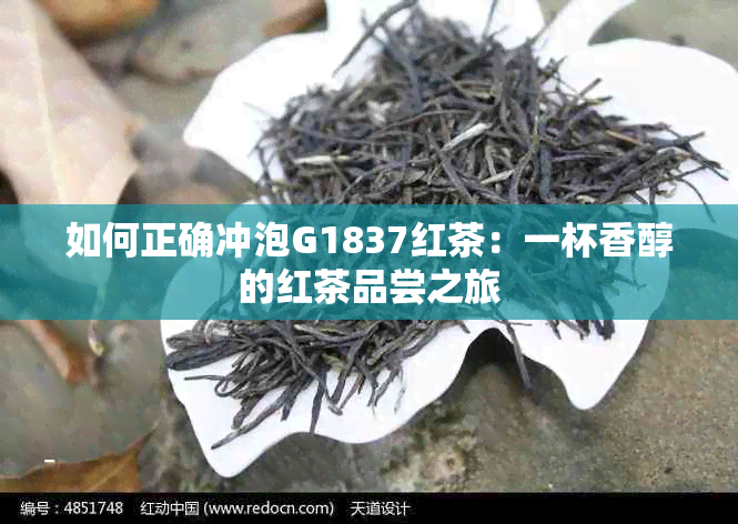 如何正确冲泡G1837红茶：一杯香醇的红茶品尝之旅