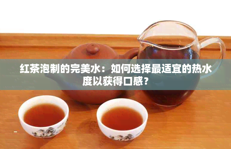 红茶泡制的完美水：如何选择最适宜的热水度以获得口感？