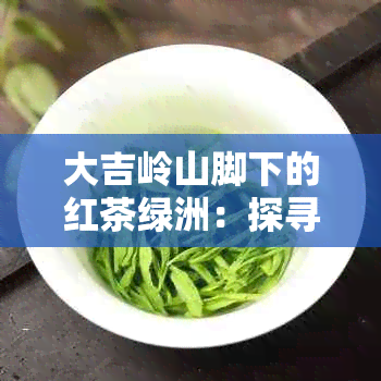 大吉岭山脚下的红茶绿洲：探寻印度茶文化之谜