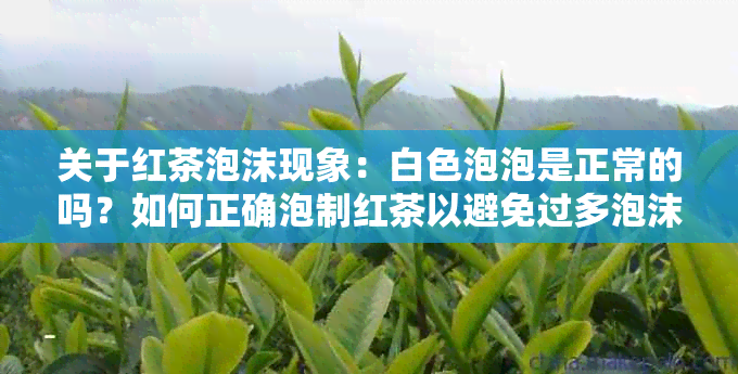 关于红茶泡沫现象：白色泡泡是正常的吗？如何正确泡制红茶以避免过多泡沫？