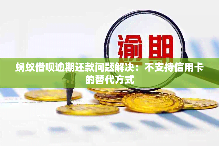 蚂蚁借呗逾期还款问题解决：不支持信用卡的替代方式