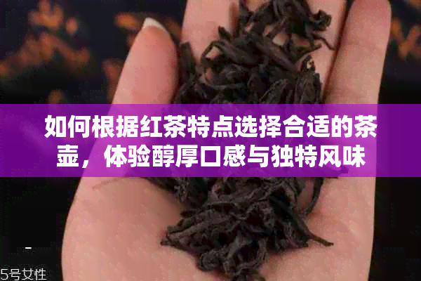 如何根据红茶特点选择合适的茶壶，体验醇厚口感与独特风味