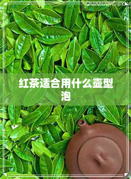 红茶适合用什么壶型泡