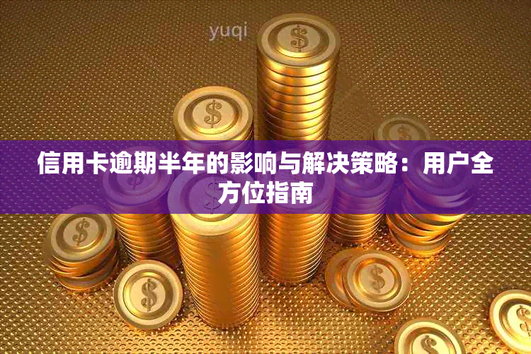 信用卡逾期半年的影响与解决策略：用户全方位指南