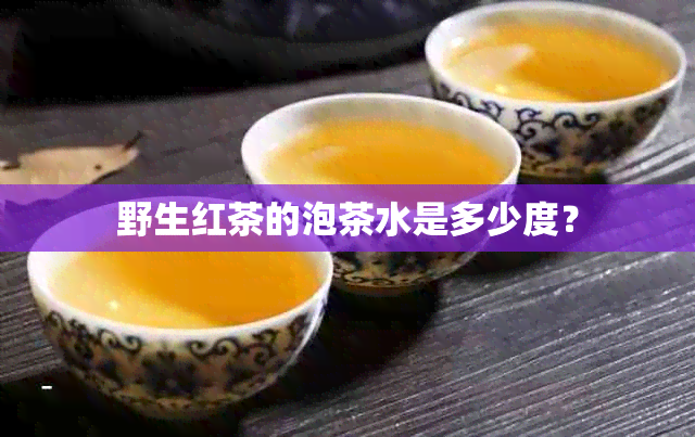 野生红茶的泡茶水是多少度？