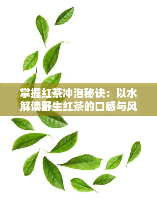 掌握红茶冲泡秘诀：以水解读野生红茶的口感与风味