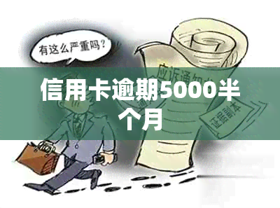 信用卡逾期5000半个月