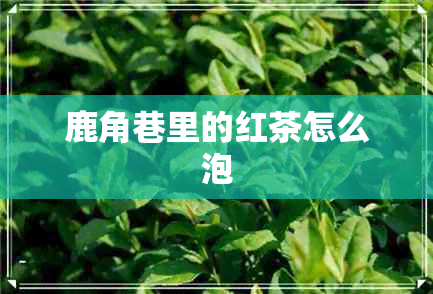 鹿角巷里的红茶怎么泡