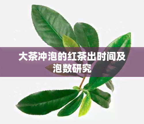 大茶冲泡的红茶出时间及泡数研究