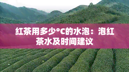 红茶用多少°C的水泡：泡红茶水及时间建议