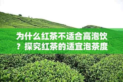 为什么红茶不适合高泡饮？探究红茶的适宜泡茶度与原因