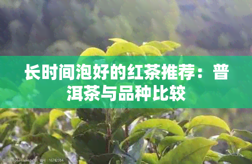 长时间泡好的红茶推荐：普洱茶与品种比较