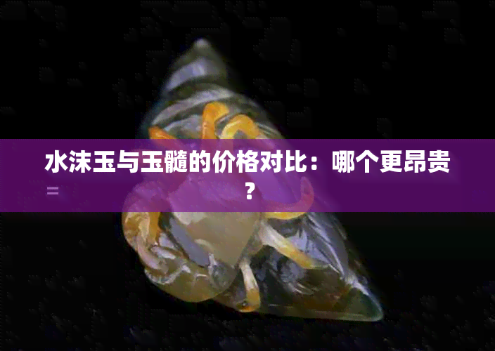 水沫玉与玉髓的价格对比：哪个更昂贵？