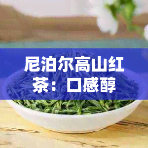 尼泊尔高山红茶：口感醇厚的顶级饮品