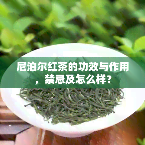 尼泊尔红茶的功效与作用，禁忌及怎么样？