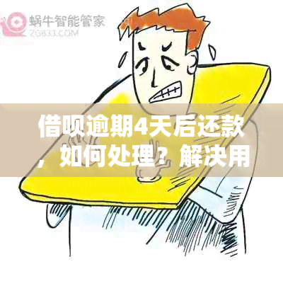 借呗逾期4天后还款，如何处理？解决用户可能遇到的各种问题