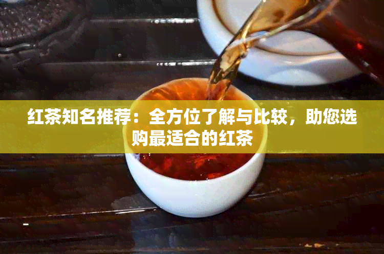 红茶知名推荐：全方位了解与比较，助您选购最适合的红茶