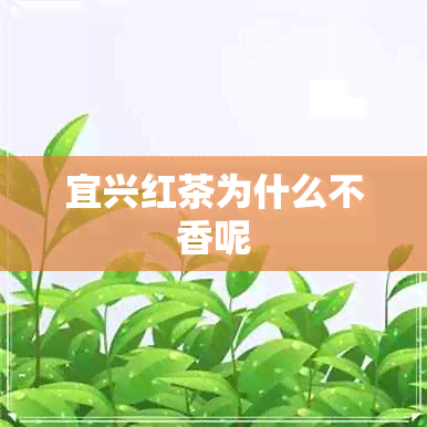 宜兴红茶为什么不香呢