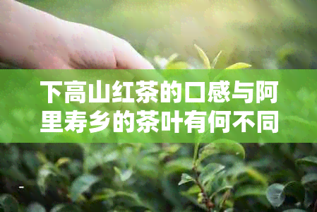 下高山红茶的口感与阿里寿乡的茶叶有何不同？价格如何计算？