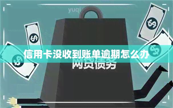 信用卡没收到账单逾期怎么办