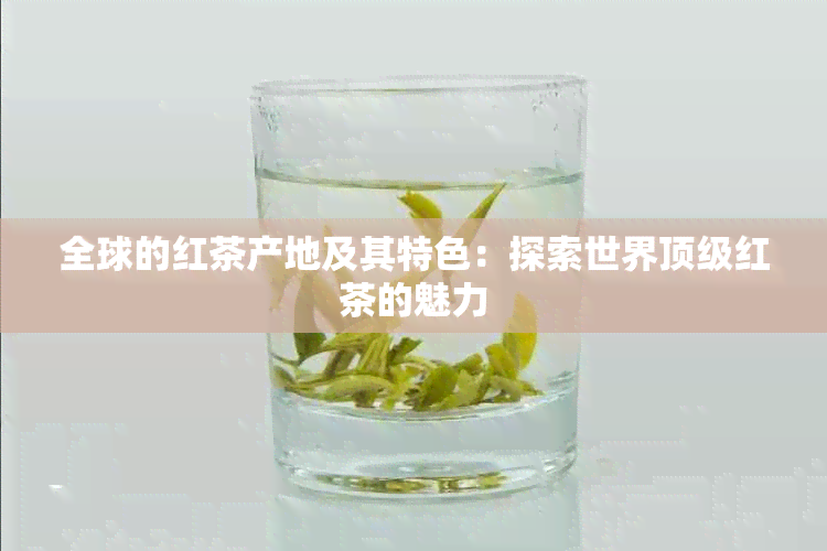 全球的红茶产地及其特色：探索世界顶级红茶的魅力