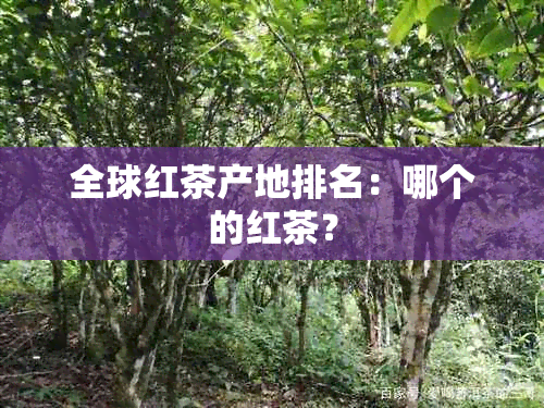 全球红茶产地排名：哪个的红茶？