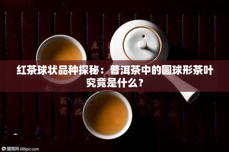 红茶球状品种探秘：普洱茶中的圆球形茶叶究竟是什么？